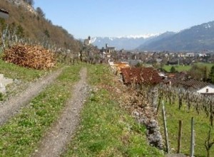 Weinbauweg