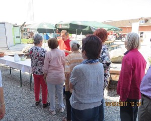 k-IMG_0662