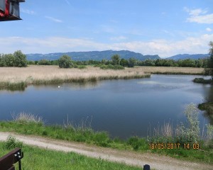 k-IMG_0675
