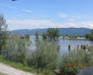 k-IMG_0678